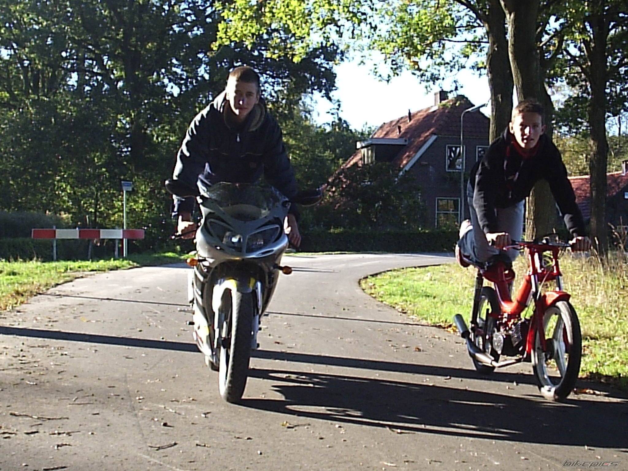 Photo 452275