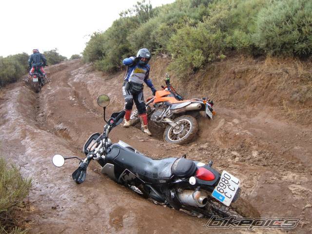 Bike Photo 452305