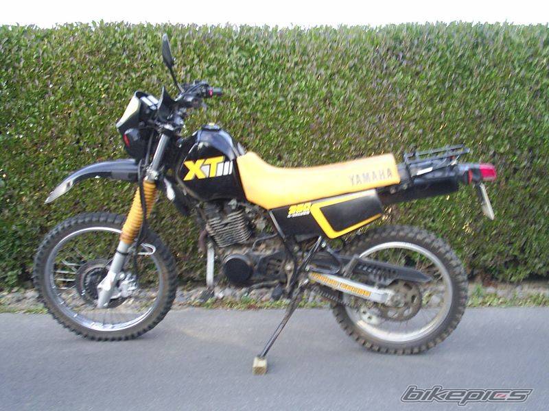 Photo 452345