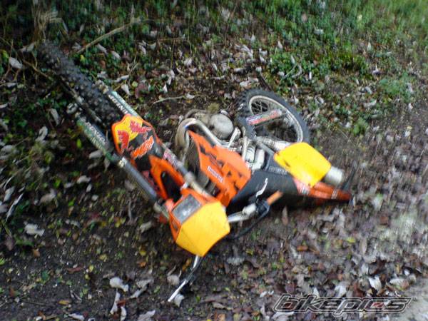 Photo 452404