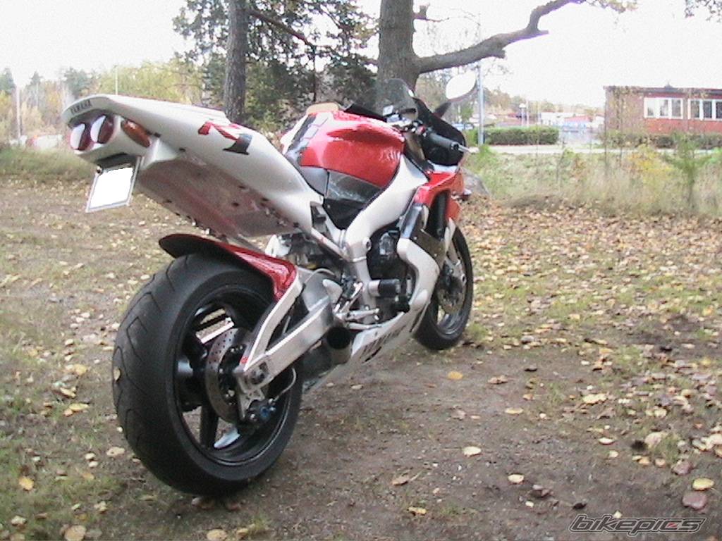 Photo 452431