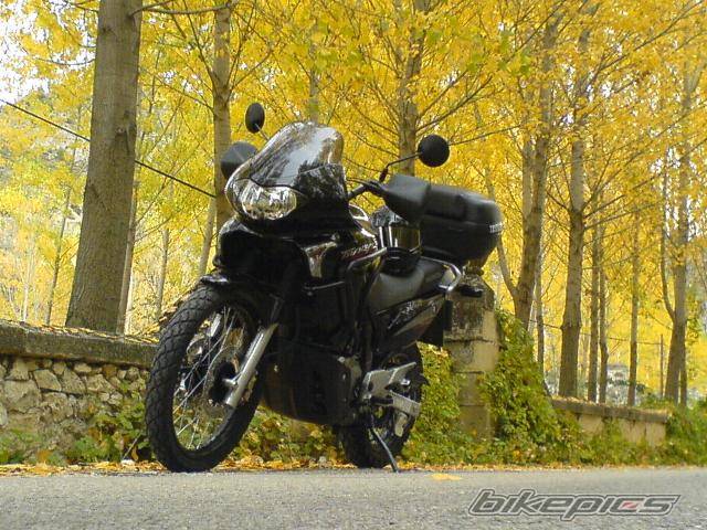 Bike Photo 452460