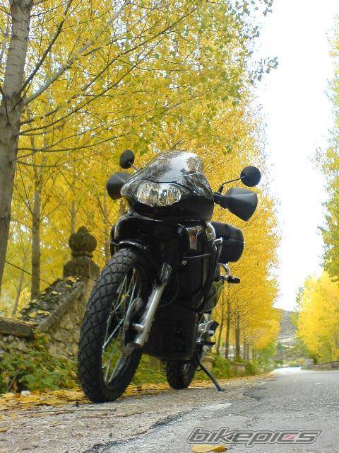 Photo 452468