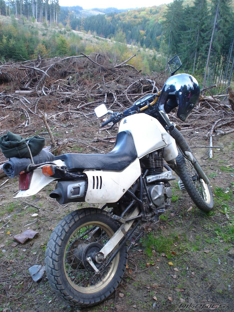 Bike Photo 452482