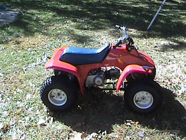 Photo 452504