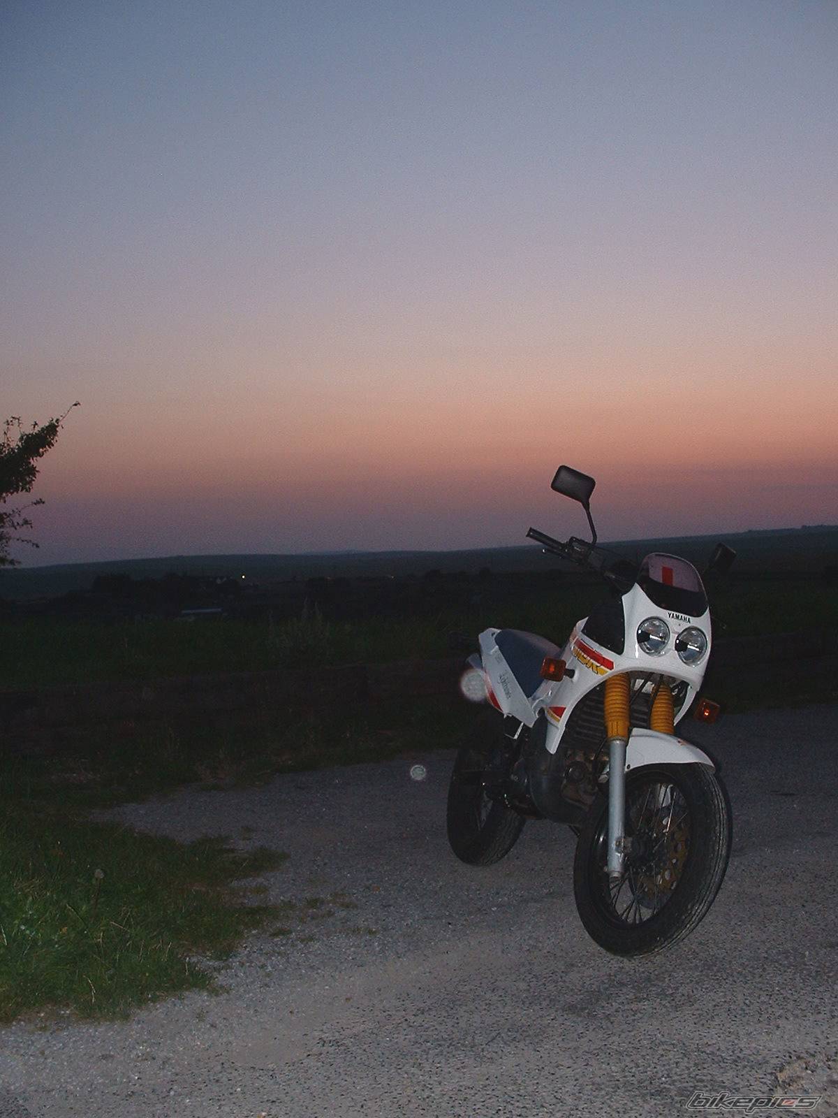 Photo 452519