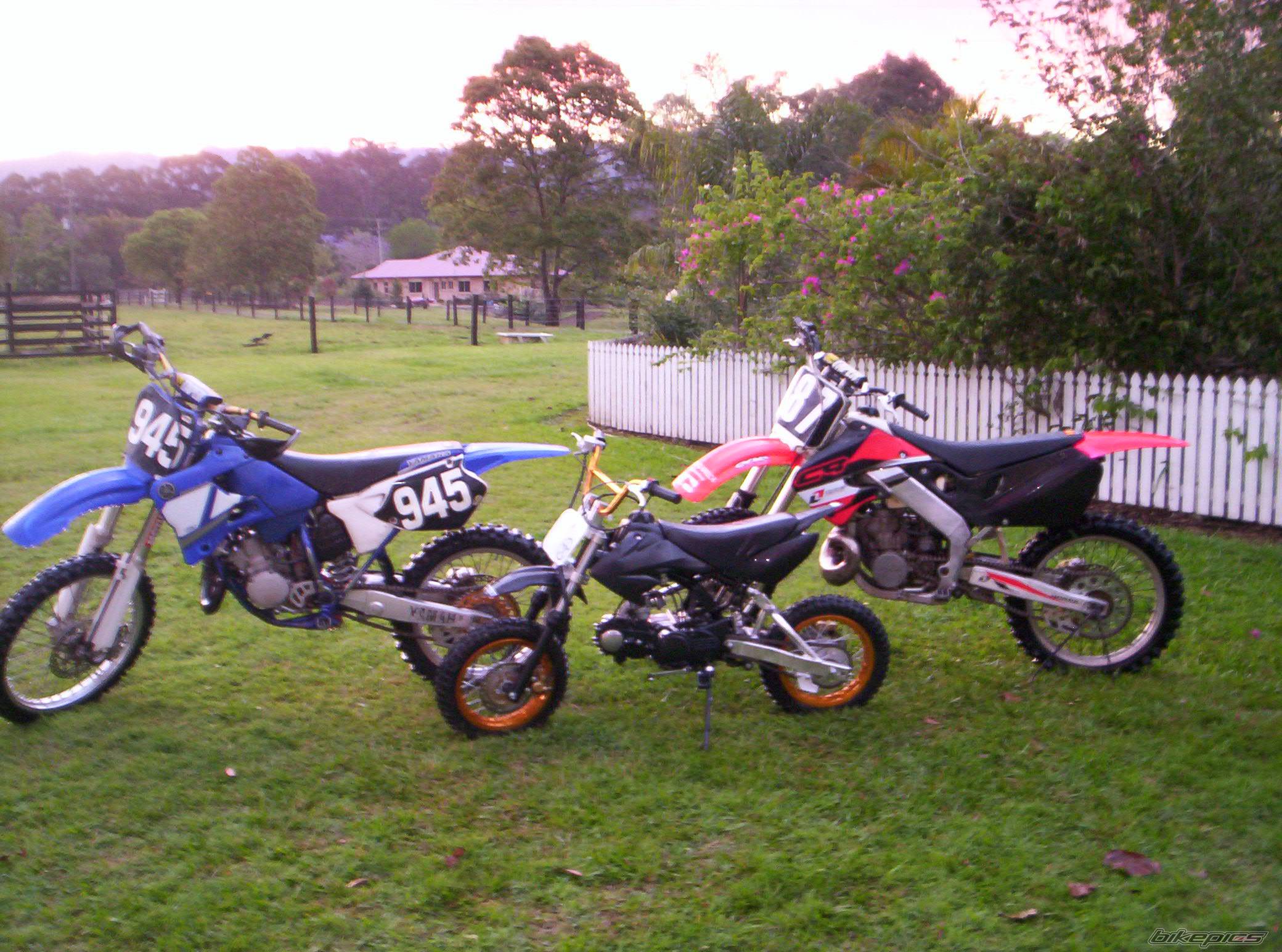 Photo 452573