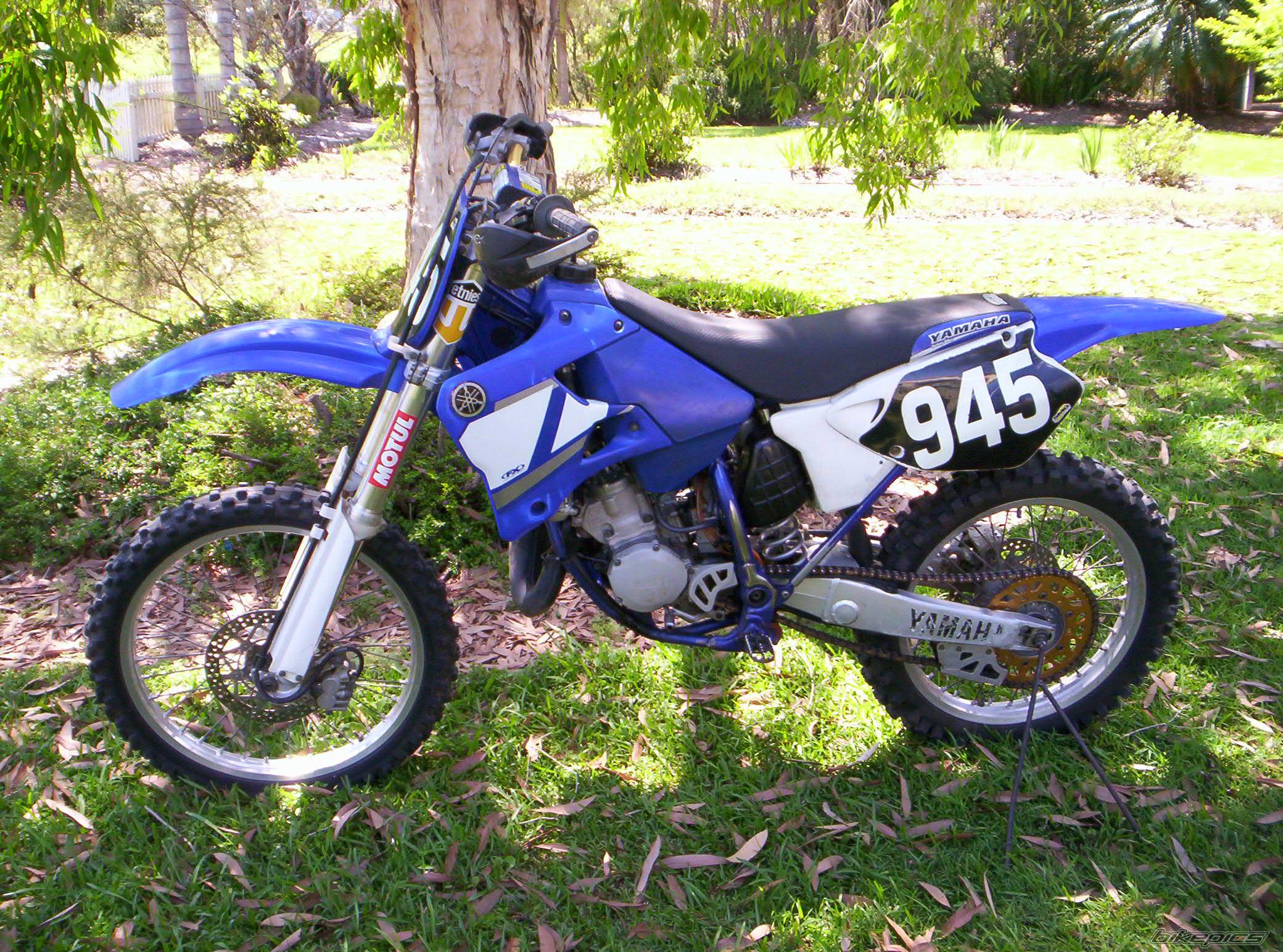Photo 452575