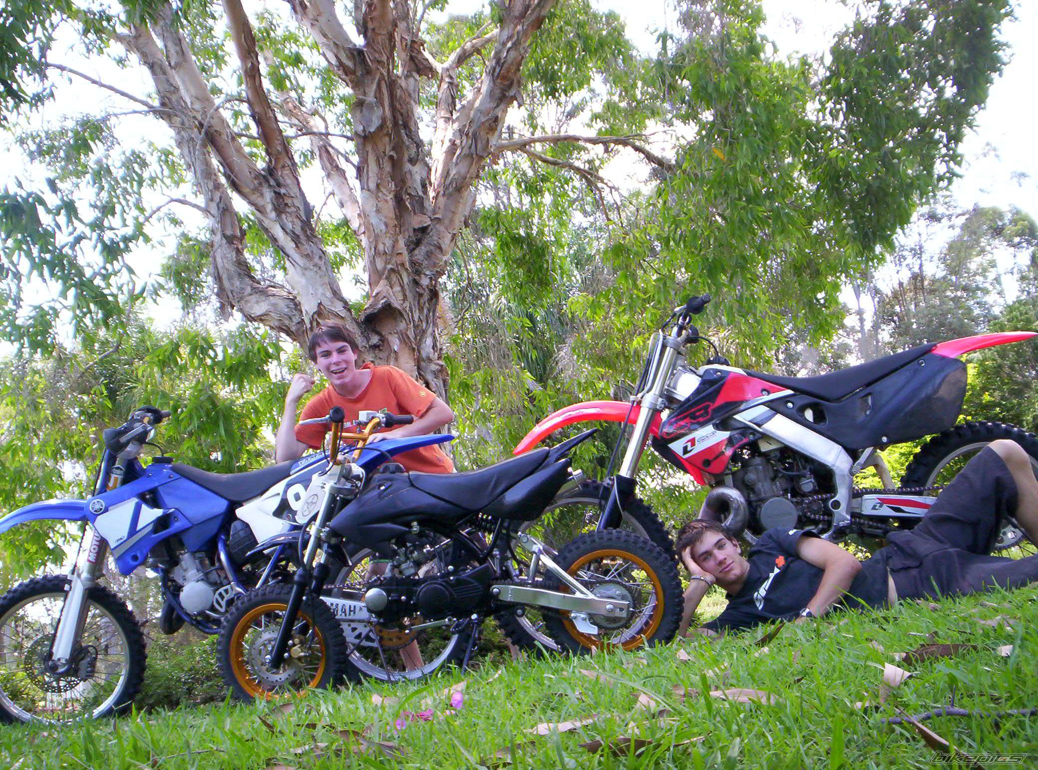 Photo 452579