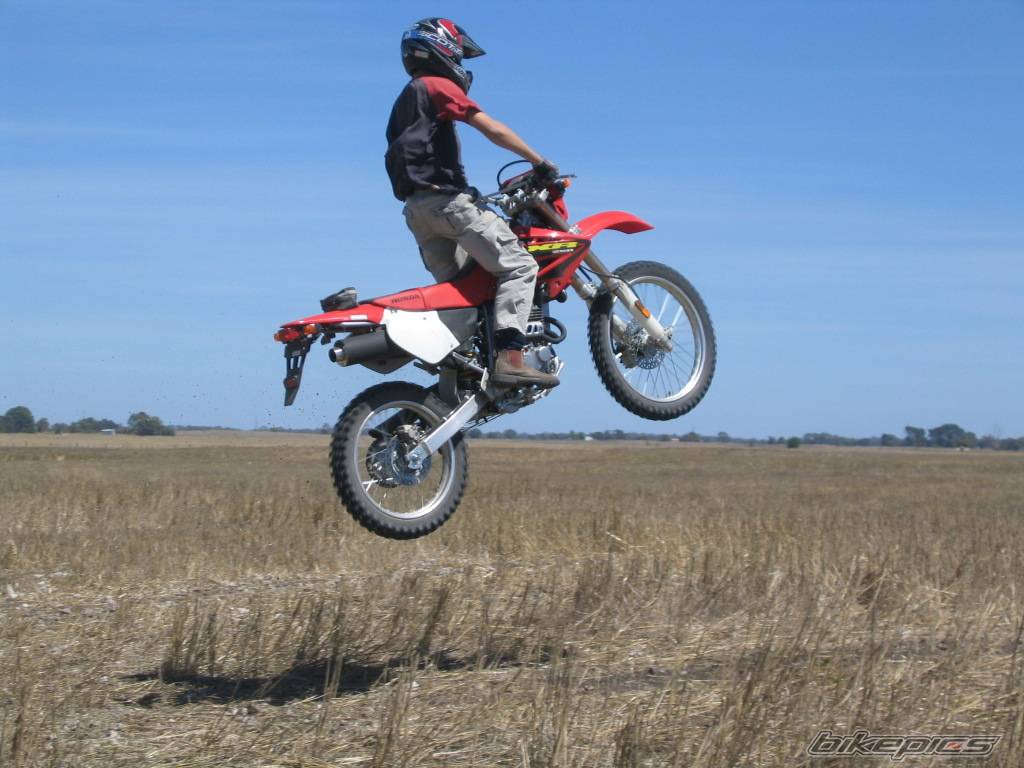 Photo 452590