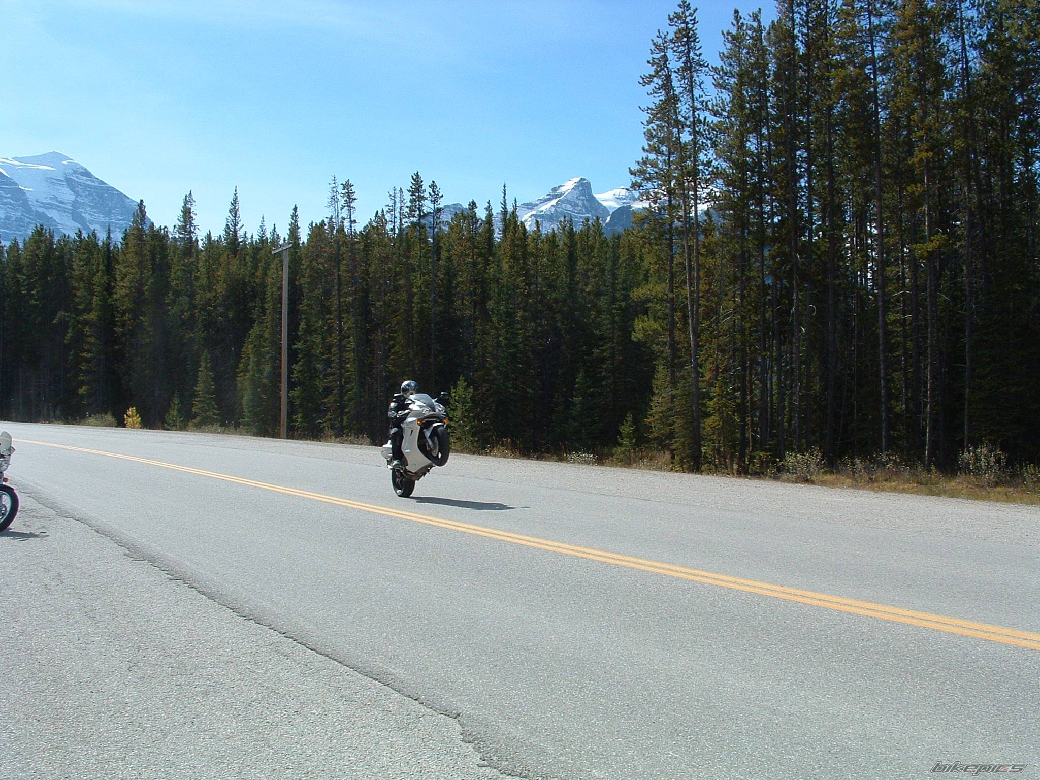 Photo 452622