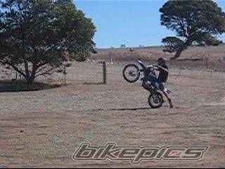 Photo 452634