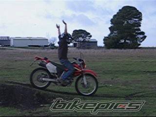 Photo 452650