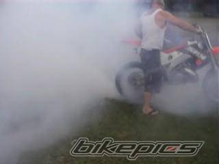 Photo 452659