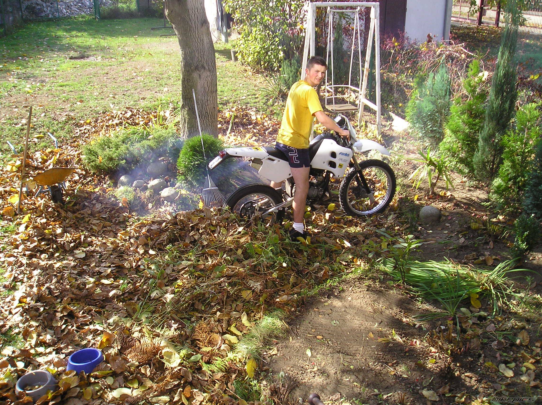 Bike Photo 452686