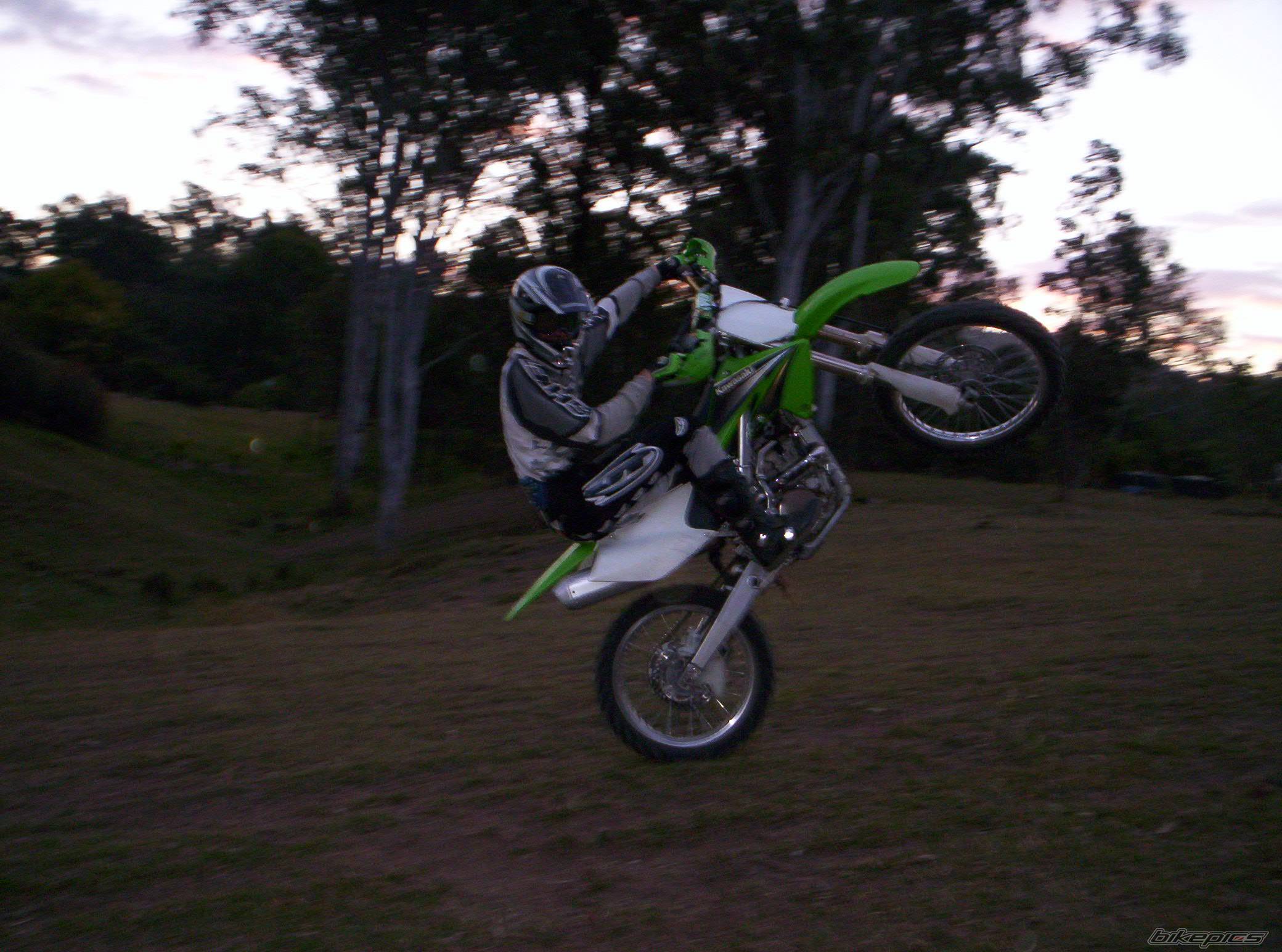 Photo 452687