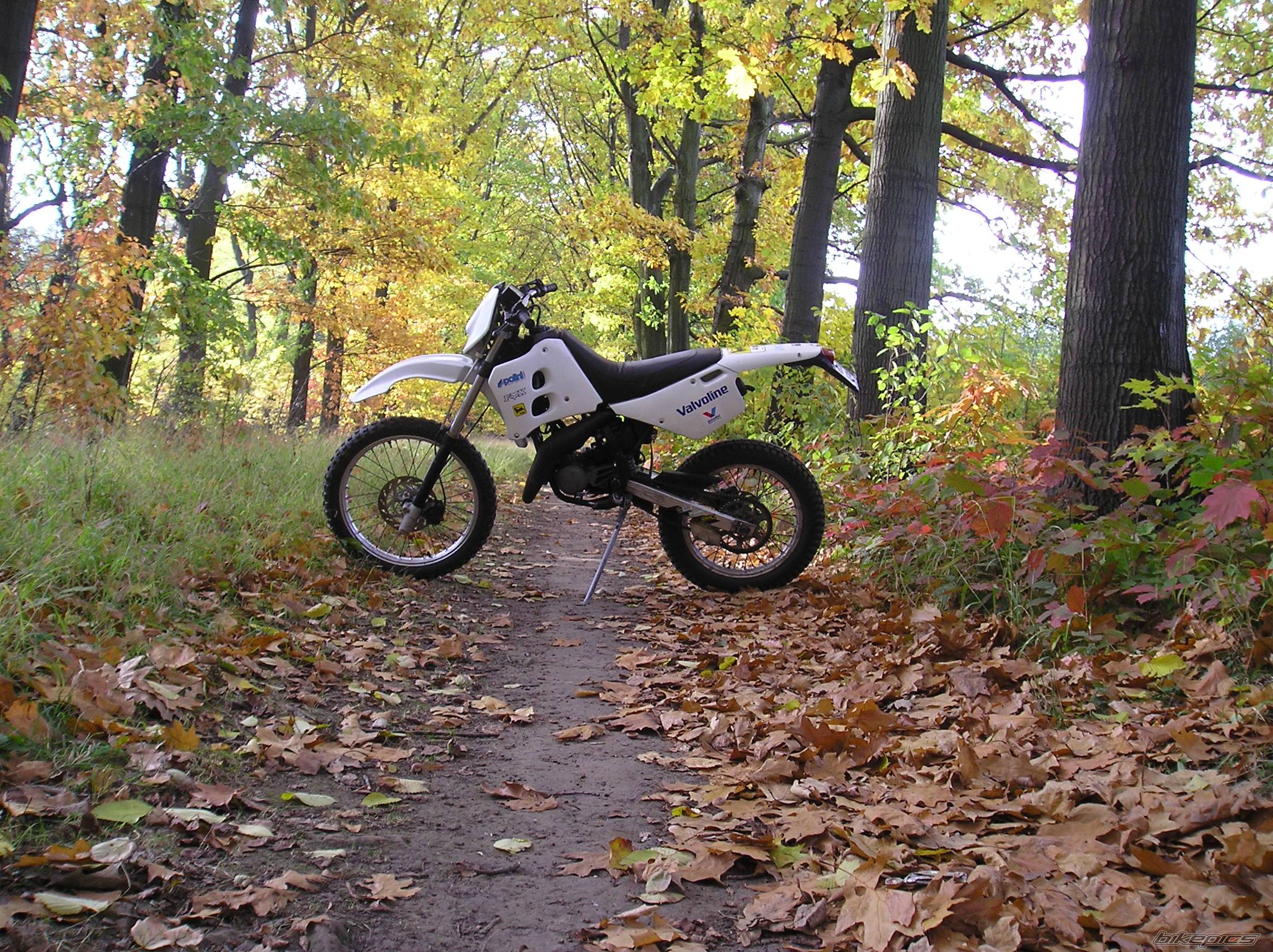 Bike Photo 452698