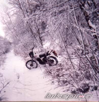 Photo 452716