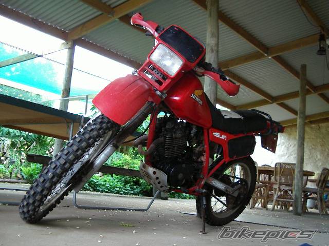 Bike Photo 452752