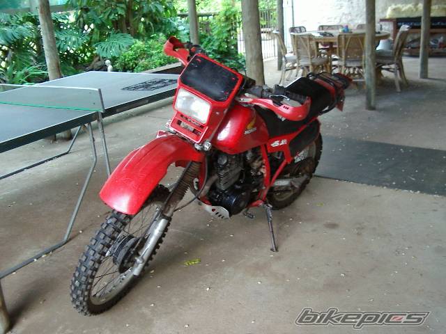 Bike Photo 452778