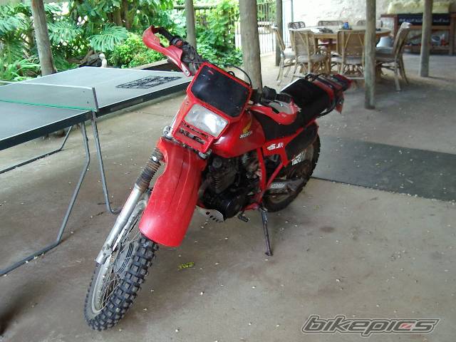 Photo 452782
