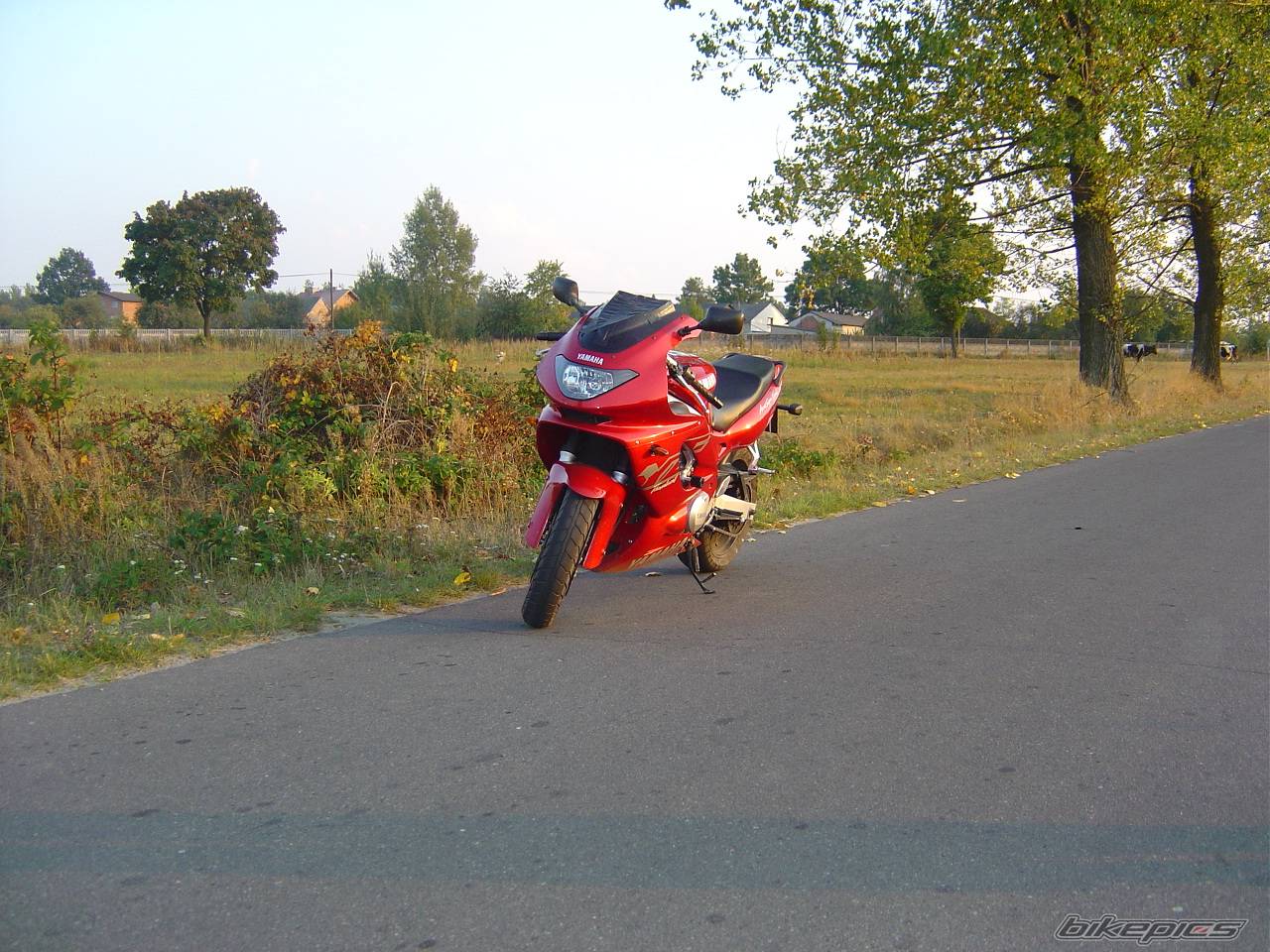 Photo 452804
