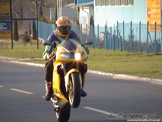 Photo 45281