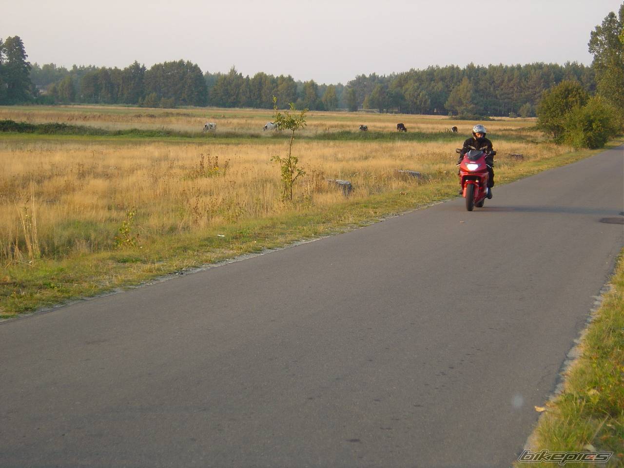 Photo 452813