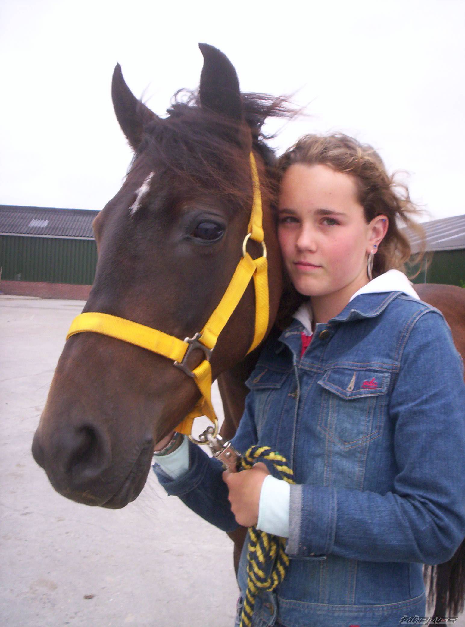 Photo 452833