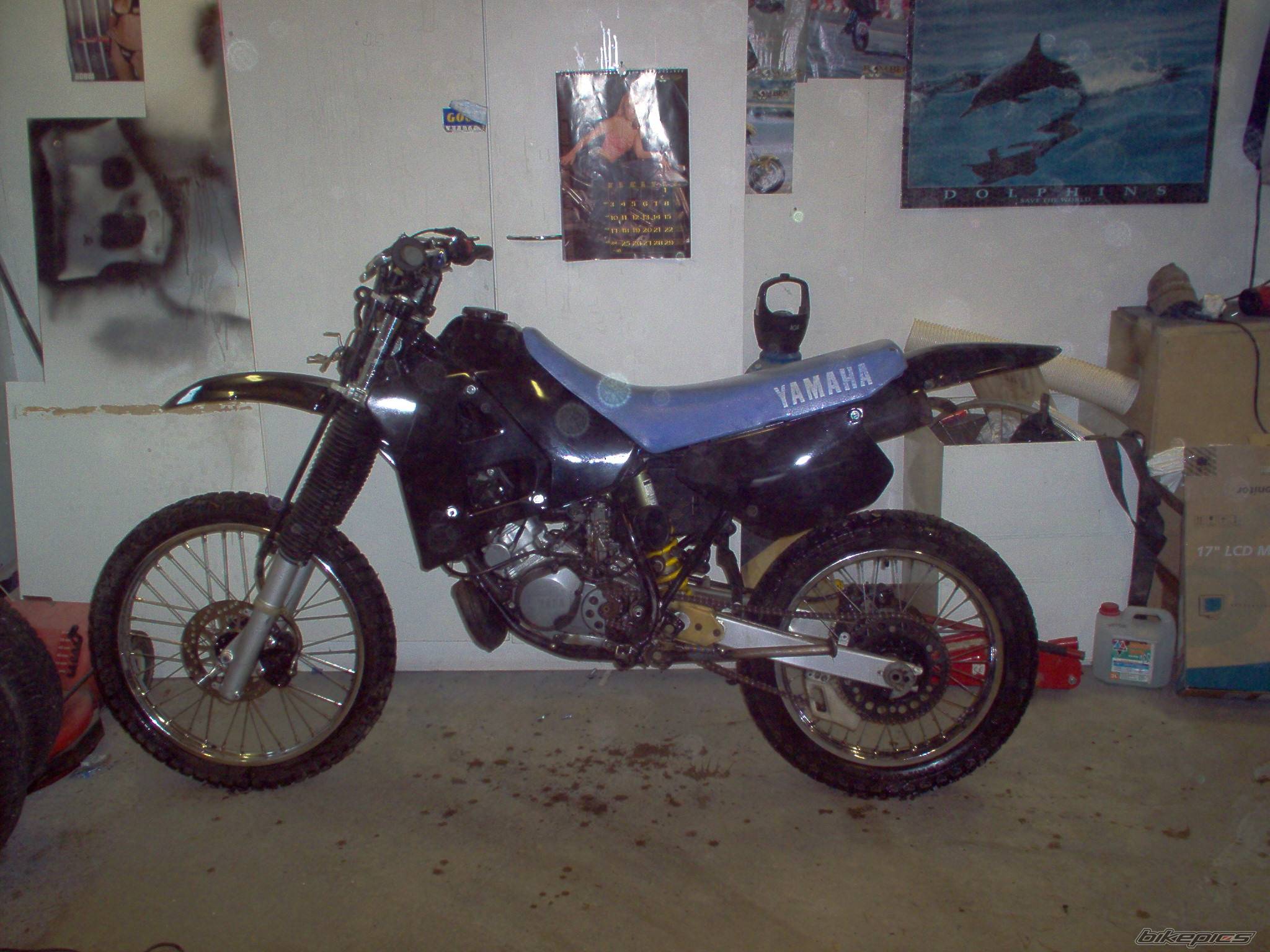 Bike Photo 452837