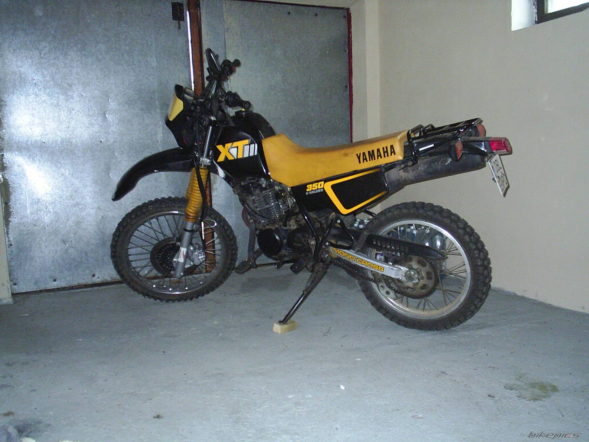 Photo 452933