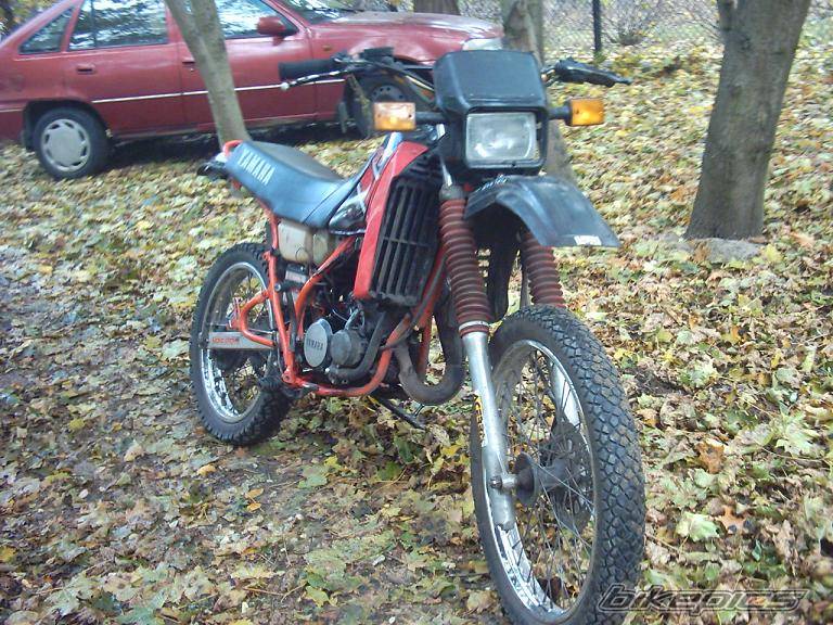Bike Photo 452936