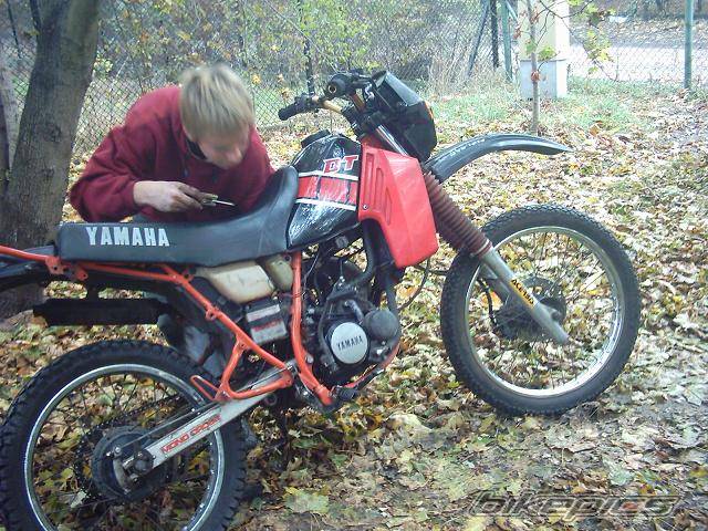 Bike Photo 452937