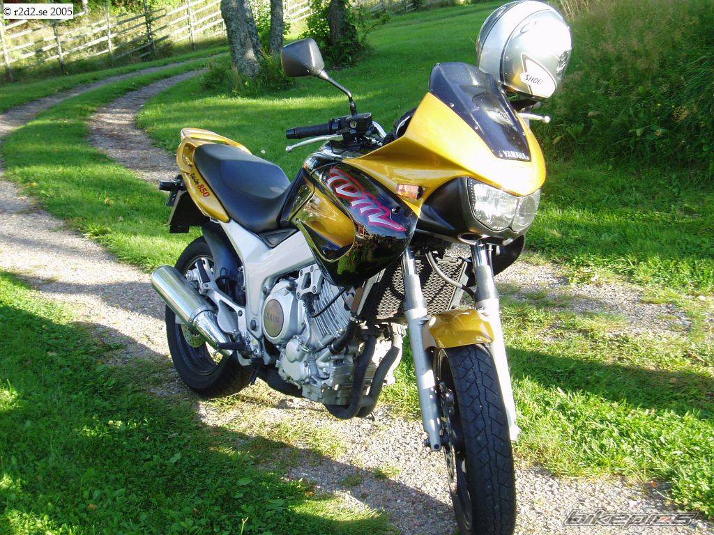 Bike Photo 452942