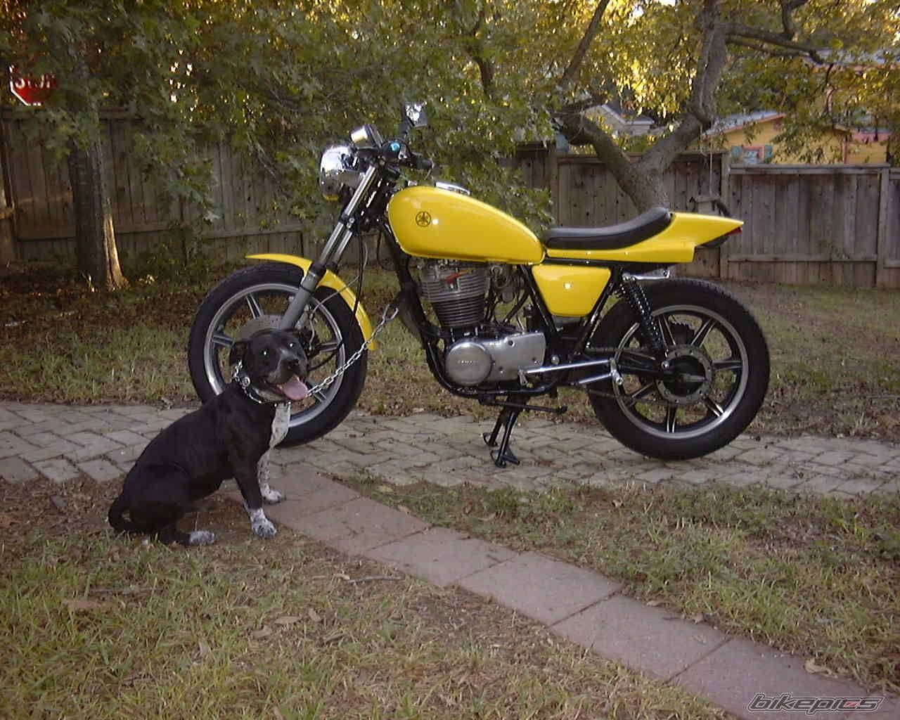 Bike Photo 452962