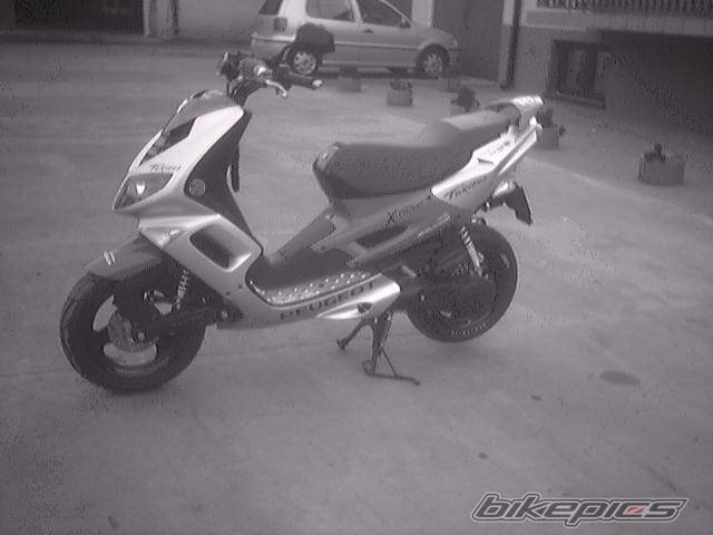 Photo 453032