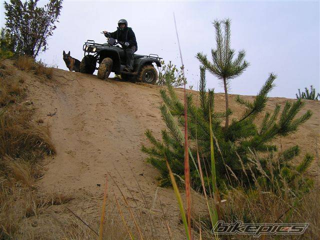 Photo 453125