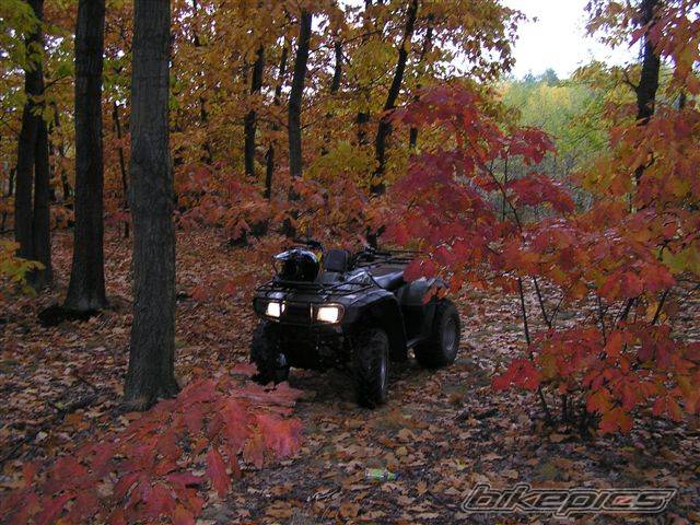 Photo 453135