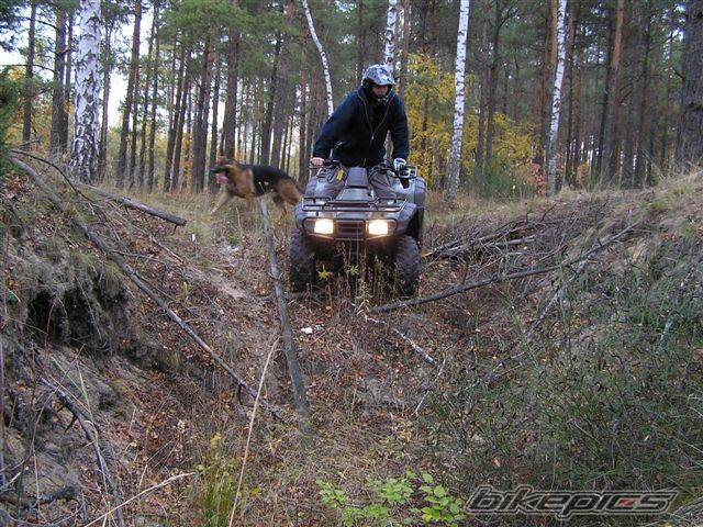 Photo 453174