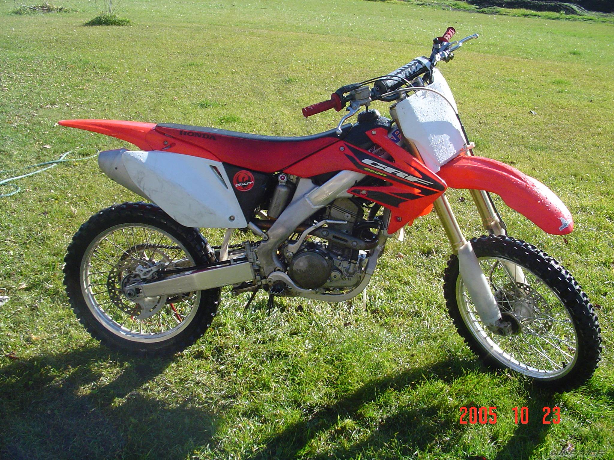 Photo 453199