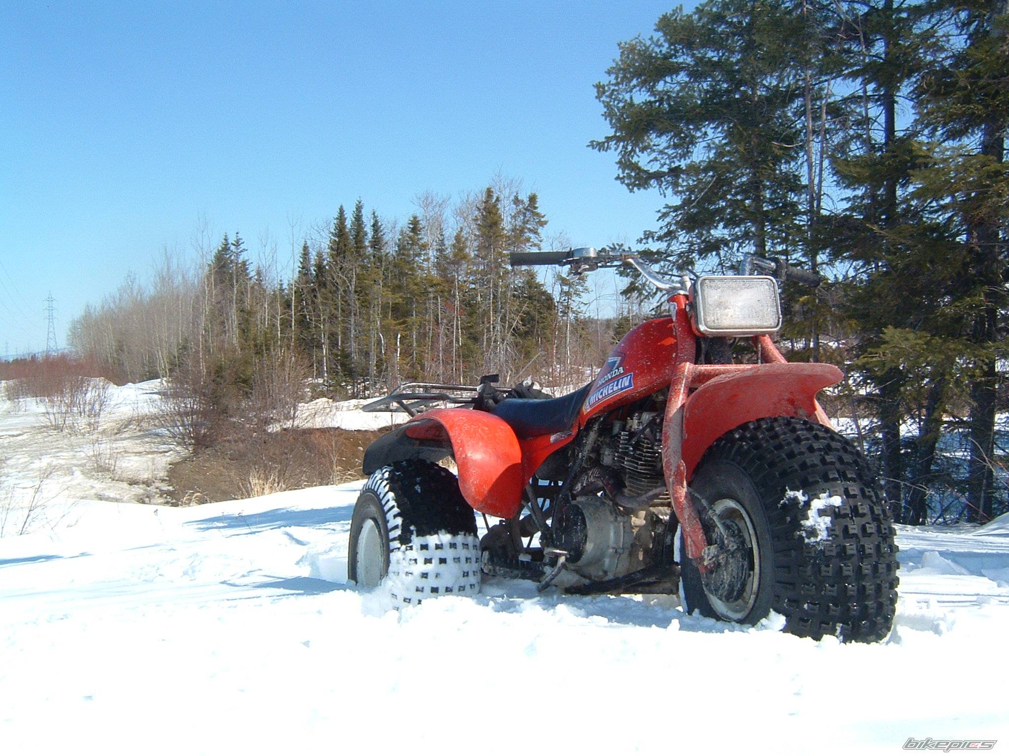 Photo 453251