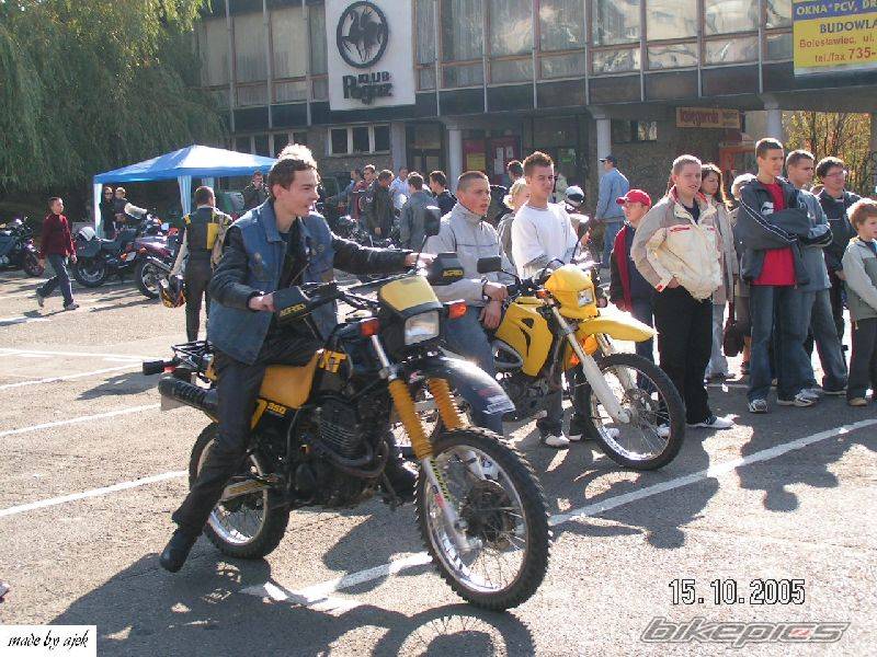 Photo 453260
