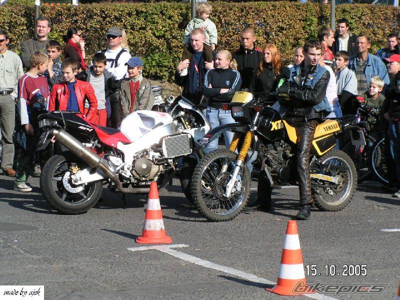 Photo 453264