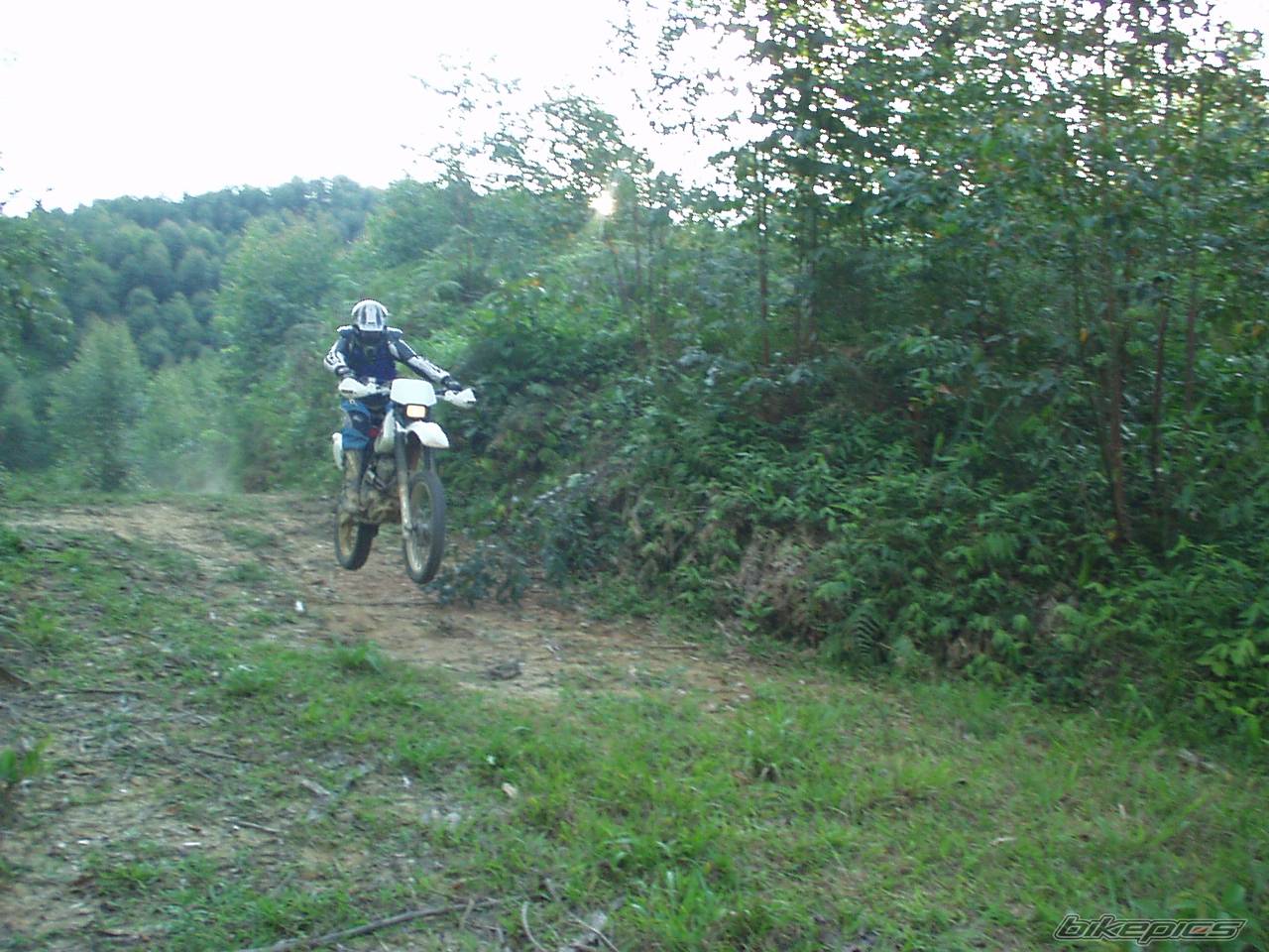 Bike Photo 453288