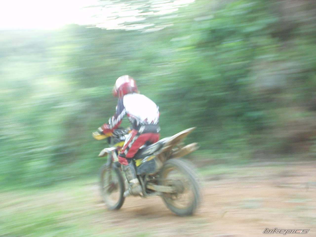 Bike Photo 453293