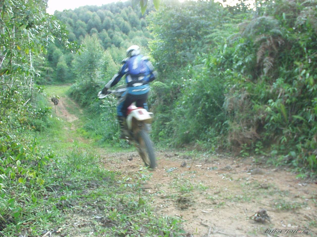 Photo 453294