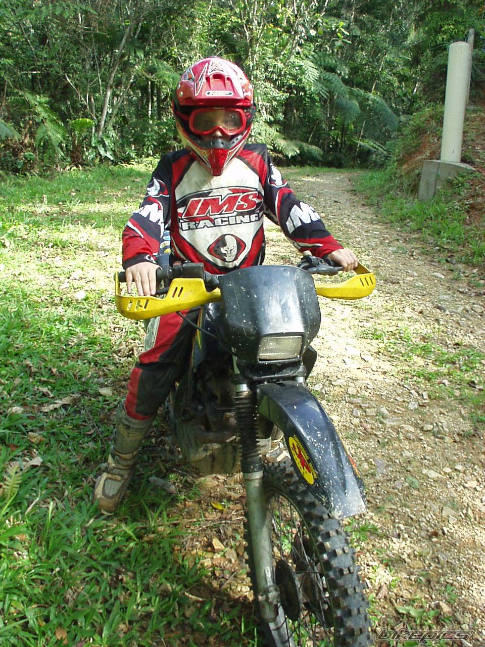 Bike Photo 453299