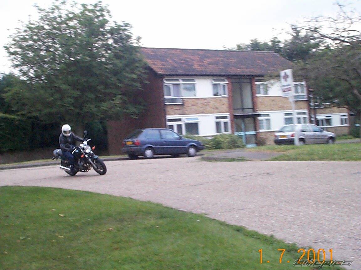 Photo 4533