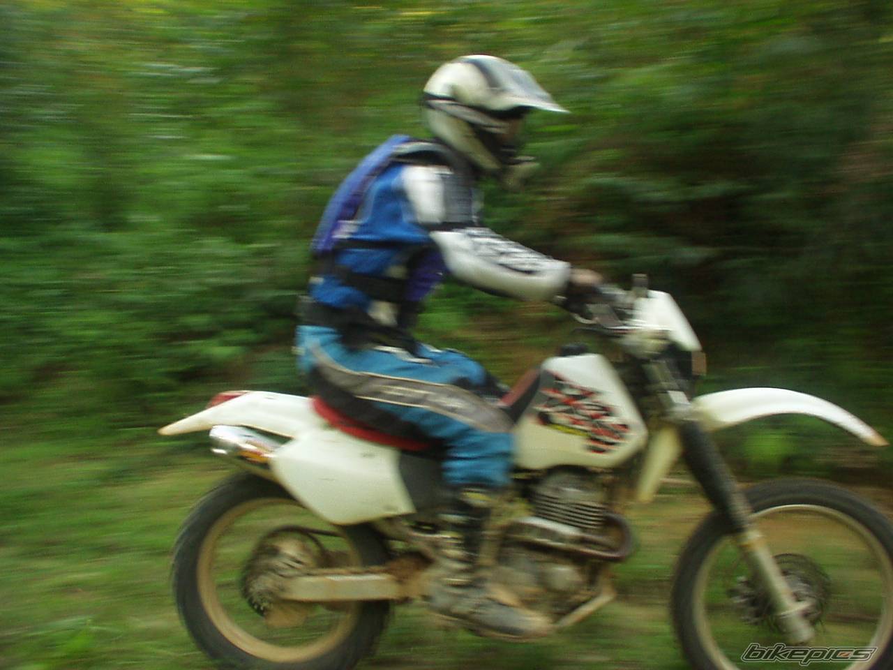 Bike Photo 453301