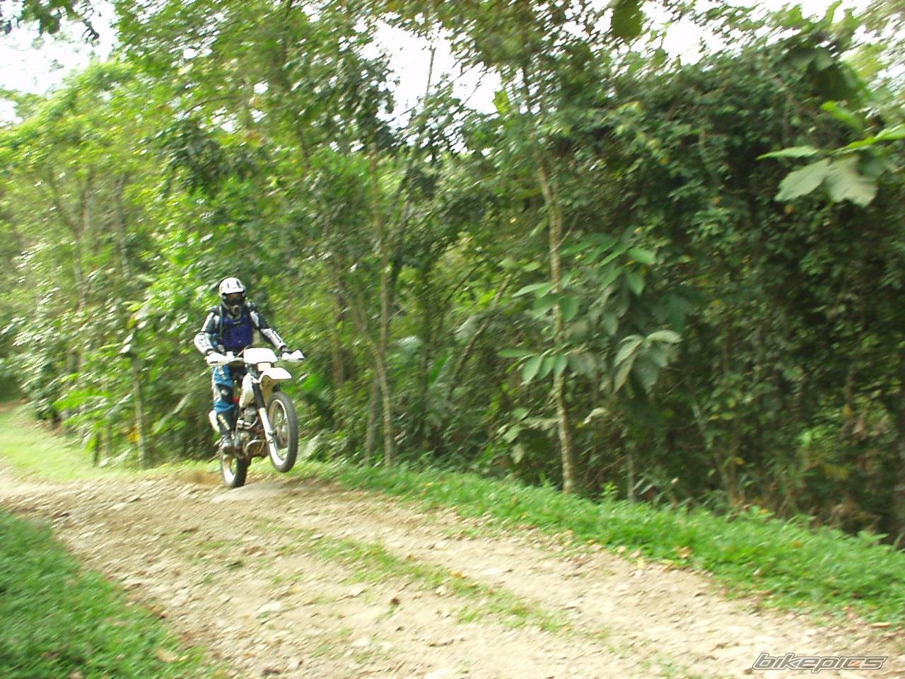 Bike Photo 453303